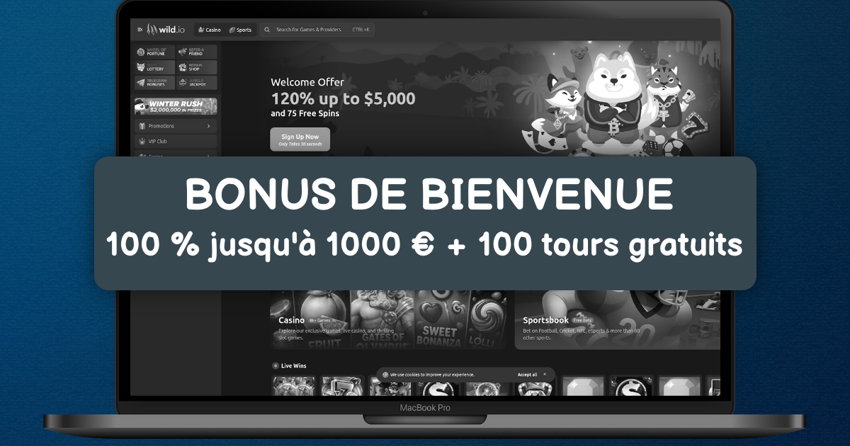Wild.io Casino welcome bonus