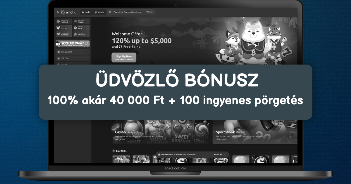 Wild.io Casino welcome bonus