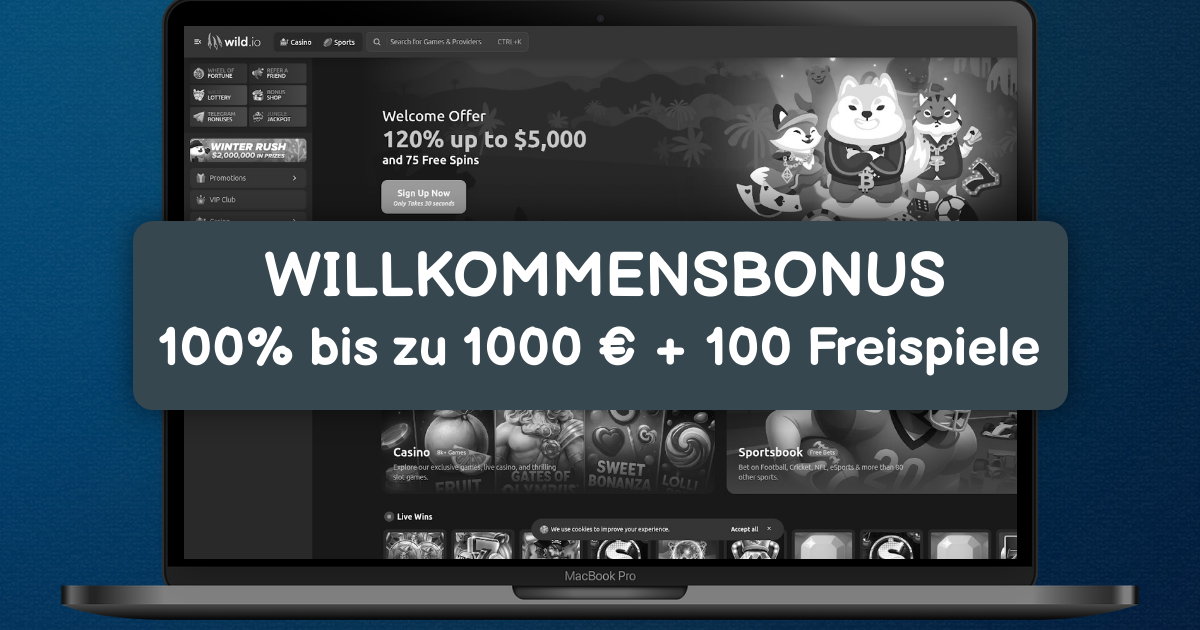 Wild.io Casino welcome bonus